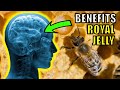 12 Unbelievable Health Benefits Of Royal Jelly 