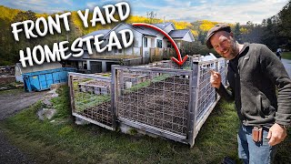 We Started a FRONT Yard Homestead (Again)