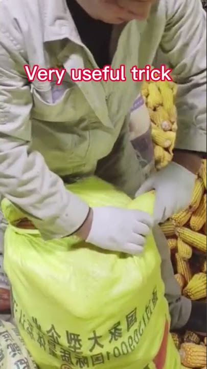 CARA IKAT KARUNG MENGGUNAKAN JAGUNG
