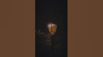إن المتقين في جنات وعيون || أجمل حالات واتس اب قرآن كريم || ليطمئن قلبك 🌼💛 || ستوريات انستا دينية
