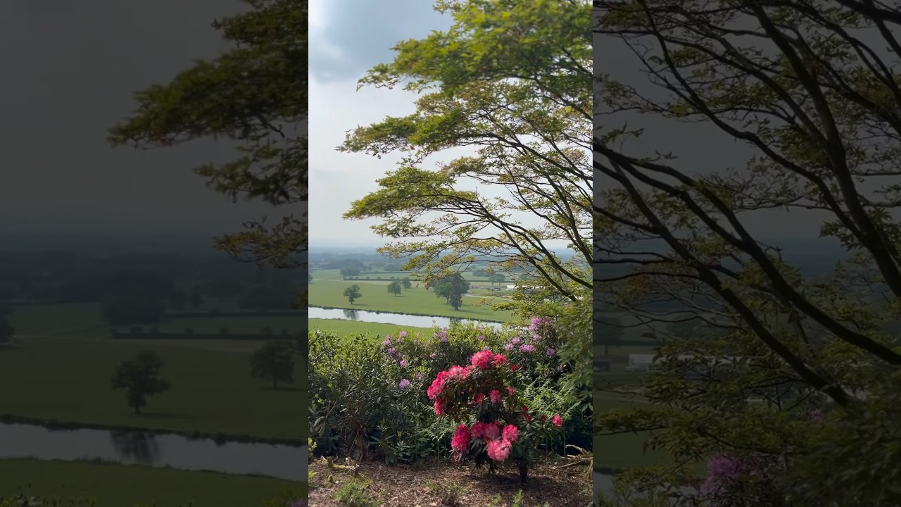 calming vlog 💐💕🌅🌷🍦 