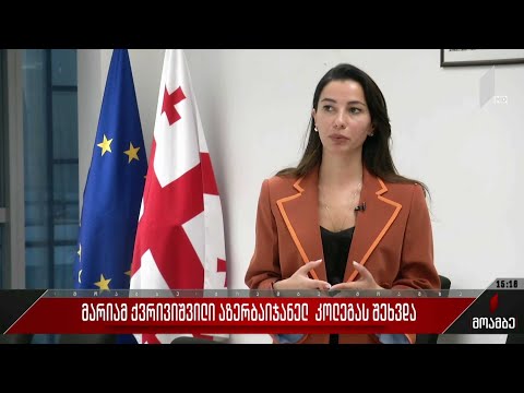 მარიამ ქვრივიშვილი აზერბაიჯანელ კოლეგას შეხვდა