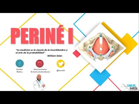 Vídeo: Què és el cos perineal?