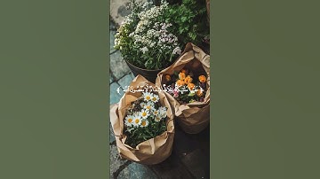 تـِلاوة مِـن سُـورة التحريم || القارئ : بدر التركي
