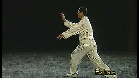 Dr. Yang, Jwing-Ming classic demonstration of the ...