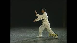 Dr. Yang, Jwing-Ming classic demonstration of the 108 