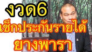 อัพเดท??ตรวจสอบเงินประกันรายได้เกษตรกรจ่ายส่วนต่าง ประกันราคายางพารา งวด 66/4/64