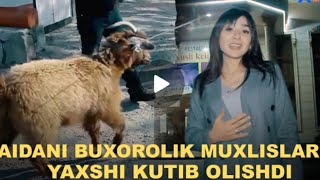 (Buxorolik Muxlislar Aidani Yaxshi Kutib Olishdi)