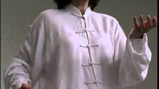 Stillpointer 2005 Tai Chi Chuan - Featherpiumafeder