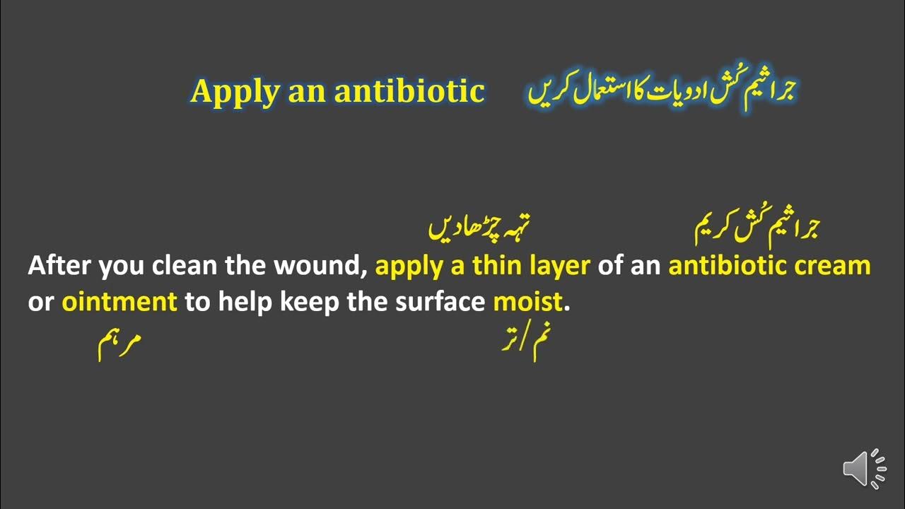 10th English Chapter 4 First Aid Urdu Translation And Question Answers 10th-english-chapter-4-first-aid-urdu-translation-and-question-answers