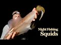 Night fishing for squid  summer 2023  tataki  eging squid jigging n 28