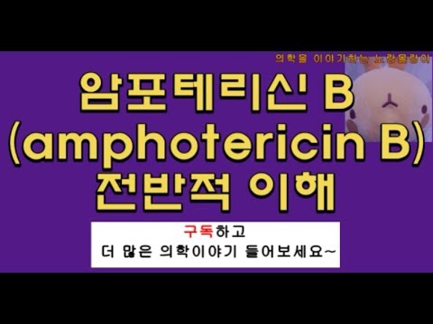 항진균제(antifungal drug): 암포테리신 B (amphotericin B, 암비솜주사, Ambisome), flucytosine