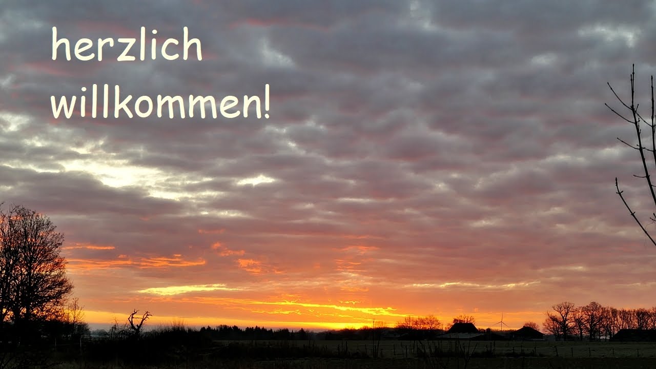 schöner Tagesanfang / ein neues Altered (Kinder)Buch (5)