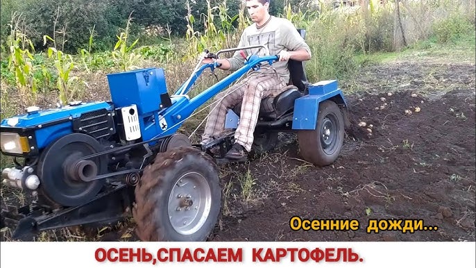 Oshxonada sargish ayolning ichiga kirdim Rus qishlogida jinsiy aloqa haqida porno film tomosha qiling.