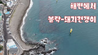 찬바람이 불면 울산에서 볼락과 돼지전갱이를 만날 수 있는 던질찌낚시 최애 포인트