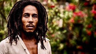 Bob Marley &amp; The Wailers -  NEVER TOO LATE ( Lyrics Video ) 