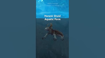 #Haranir Druid Aquatic Form | WoW Midnight Alpha