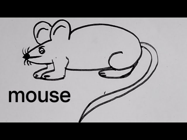 How to draw a rat | easy rat Drawing | #shorts - YouTube