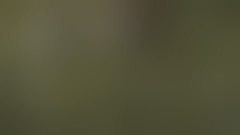 Command & Conquer Generals Zero HourRedesigned Alert China Infantry Inferno Artillery