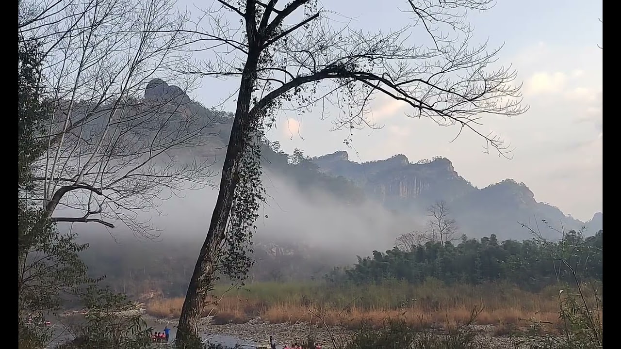 #武夷山#九曲漫步道 #武夷岩茶肉桂 #沿途风景随拍 #返程第一站