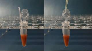 Labmix Mini 20, Handheld Laboratory Mixer, Sileks