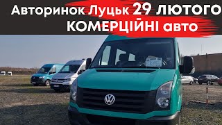 Комерційні авто на Луцькому авторинку 29 лютого: мікроавтобуси, чобітки, мінівени