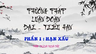 HƯỚNG DẪN LUẬN ĐOÁN : ĐẠI - TIỂU HẠN TRÊN LÁ SỐ TỬ VI MẪU | TỬ  VI VÀ VẬN MỆNH | THẦY TRÌNH MINH ĐỨC
