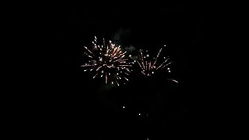 Fireworks  Animated Video | Beautiful Fireworks Animation Video