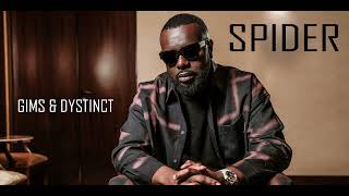 GIMS & DYSTINCT - SPIDER 😱🫨 | Slow And Reverb | French song