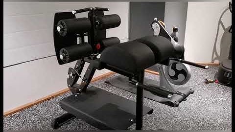 Glute Ham Developer (GHD) - Hamstring curl