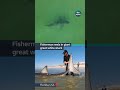 A fisherman in Florida caught and released a massive shark #itvnews #usa #shark