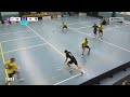 Maalikooste: SBS Wirmo - Pirkat (Inssi-Divari M)