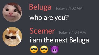 When Beluga Meets Scemer...