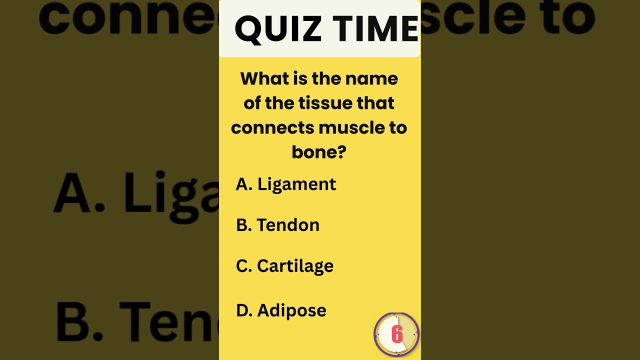 General Knowledge Quiz 5/5 Challenge 