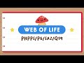 Understanding Food Webs and Population Dynamics