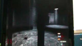 Insane Call of Duty 5 glitch EVER