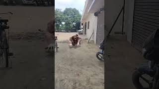 Wolf In Village Part 7Vg