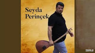 اغاني كردية Seyda Perinçek Delalo