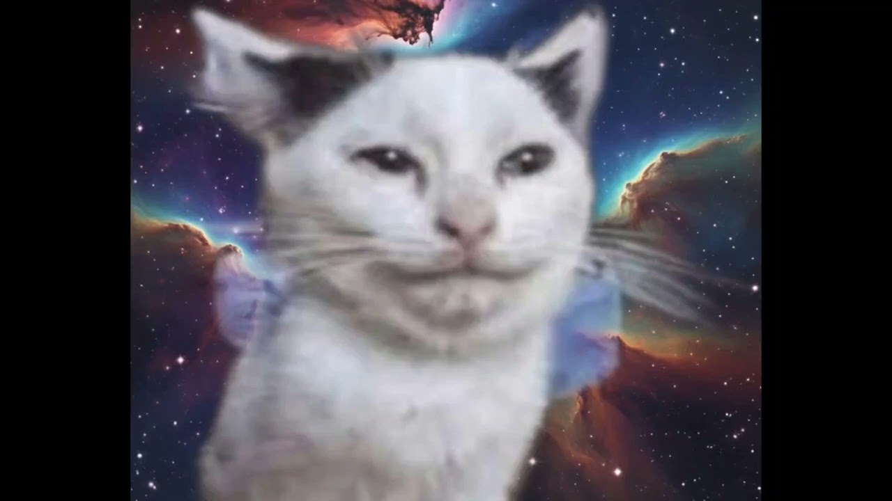 This Is Democracy Manifest 