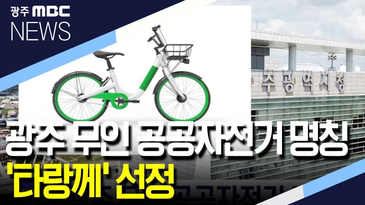 공공 자전거 명칭