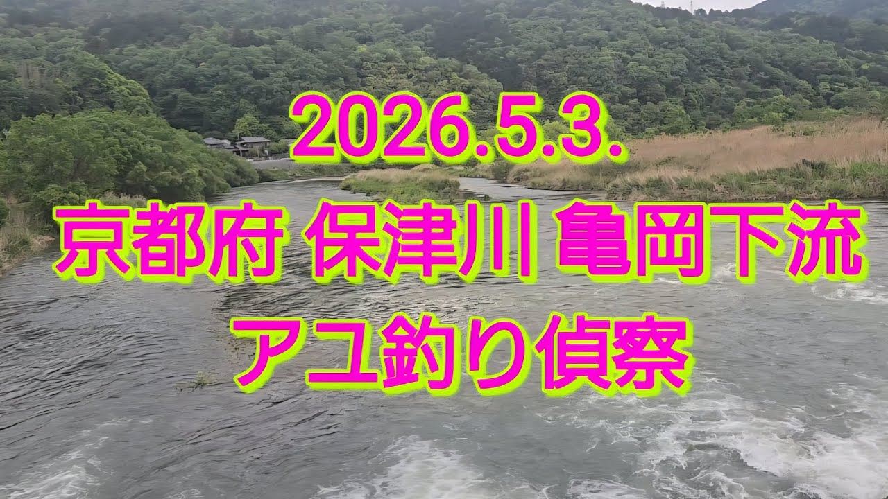 Ayu fishing reconnaissance in the Kameoka area of ​​the Hozugawa
