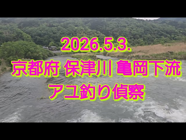 Ayu fishing reconnaissance in the Kameoka area of ​​the Hozugawa