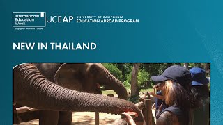 New in Thailand | International Education Week 2024