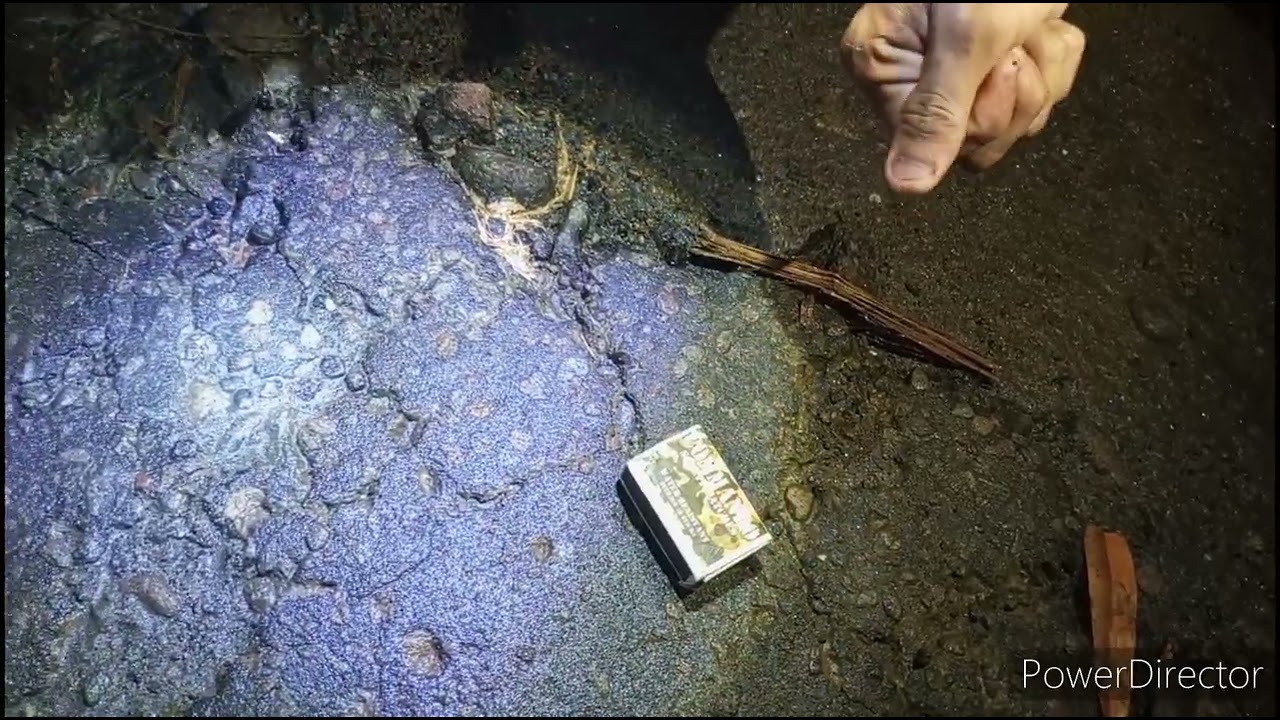 SPIDER GANG EP #2 Night hunting ng Gagamba dami naming nahuli