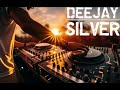 MEGAMIX OUTDOOR DJ SILVER 