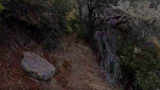 Sawmill Trail