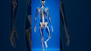 Days 7  Without Food: What Happens To Your Body? 😱 #shorts #science
