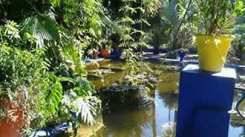 ما تيسر من سورة الفرقان برواية ورش عن نافع مجودة