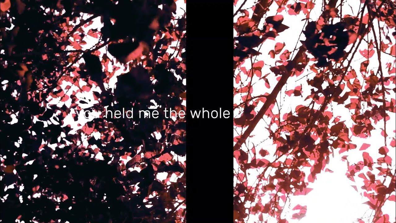 anything Adrianne Lenker Lyric Video YouTube