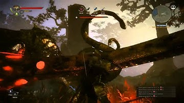 The Witcher 2: Assassins of Kings - Walkthrough [Enhanced Edition] Part 9